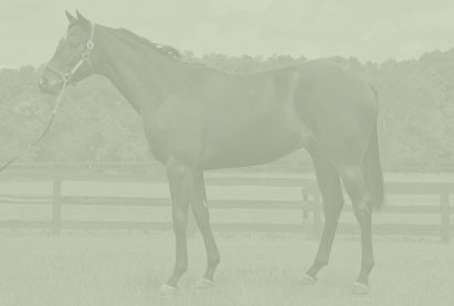 Your Time Is Up '26 Colt